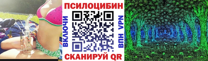 купить наркоту  Алапаевск  Галлюциногенные грибы MAGIC MUSHROOMS 
