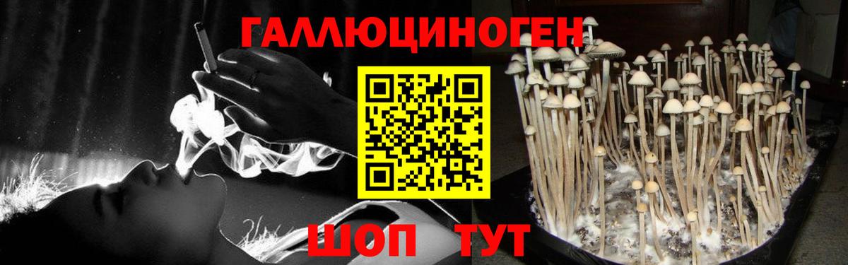 Псилоцибиновые грибы MAGIC MUSHROOMS Алапаевск