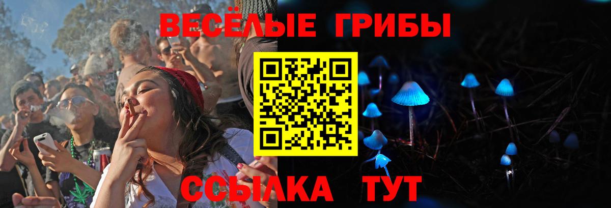 Алапаевск  хочу наркоту  Вход с VPN  Псилоцибиновые грибы прущие грибы 